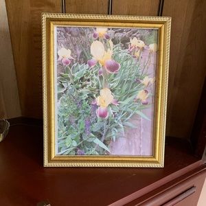 Gold Finish Trim  Picture Frame